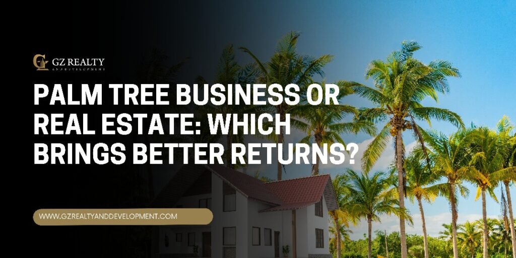 Palm tree business or real estate